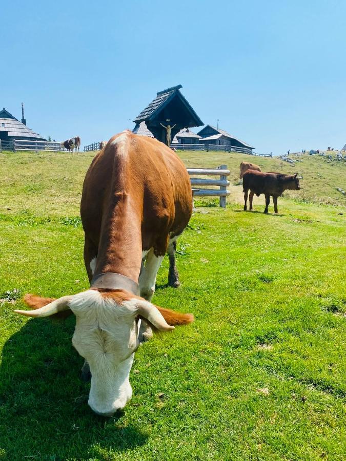 Velika Planina Koca Kekec Villa Stahovica Екстериор снимка
