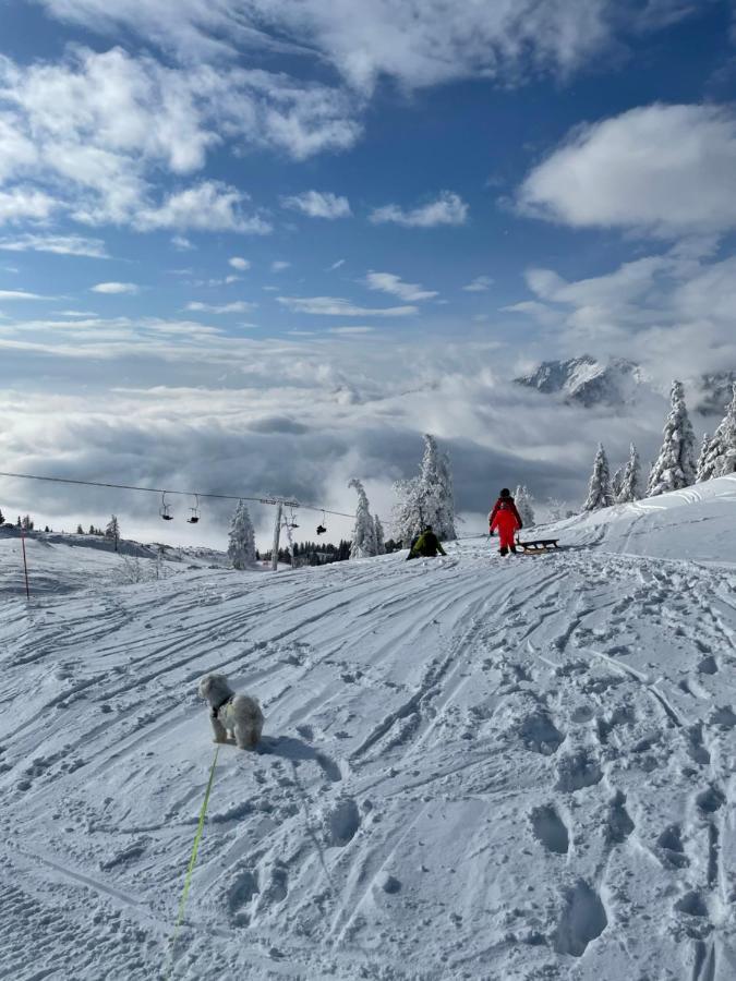 Velika Planina Koca Kekec Villa Stahovica Екстериор снимка